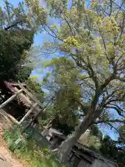 宇部八幡神社の自然