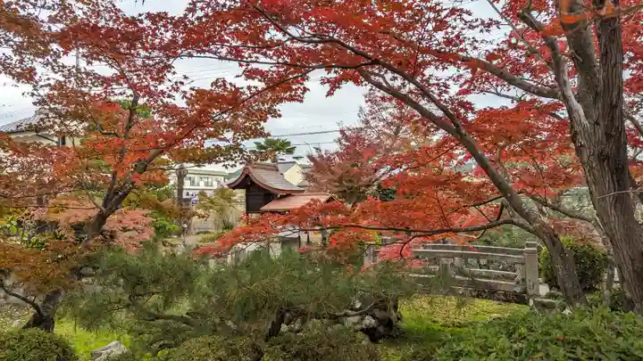 神光院(京都府)
