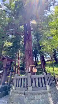 諏訪大社下社春宮(長野県)