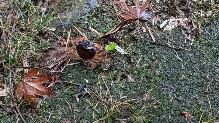 大原野神社(京都府)