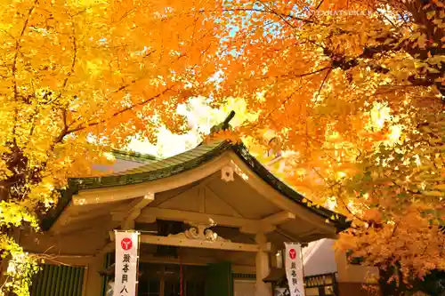 銀杏岡八幡神社(東京都)