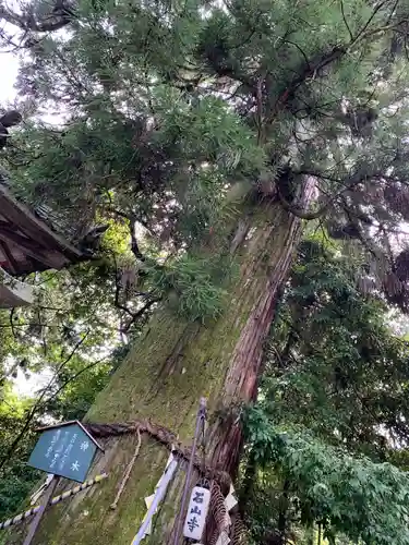 石山寺(滋賀県)