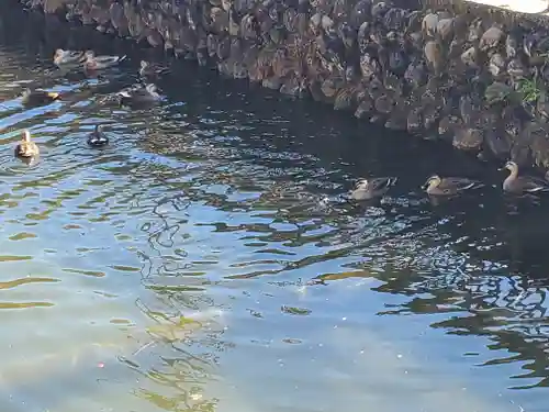 鑁阿寺(栃木県)