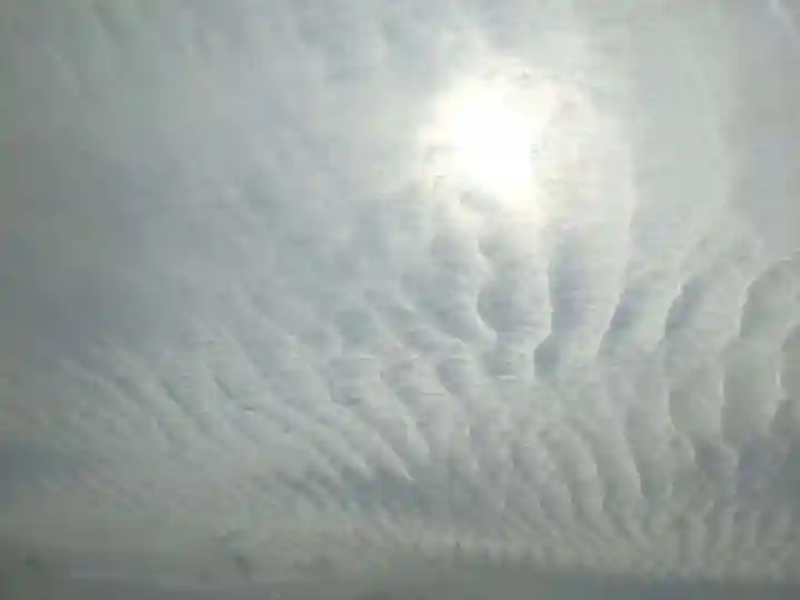 伊豫豆比古命神社(愛媛県)