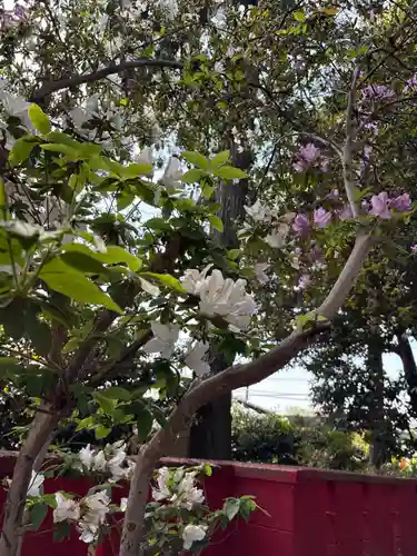 拂田稲荷神社(埼玉県)