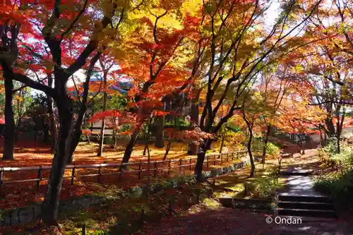 真正極楽寺（真如堂）(京都府)