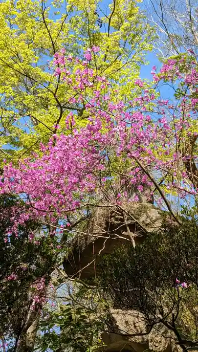 赤山禅院(京都府)
