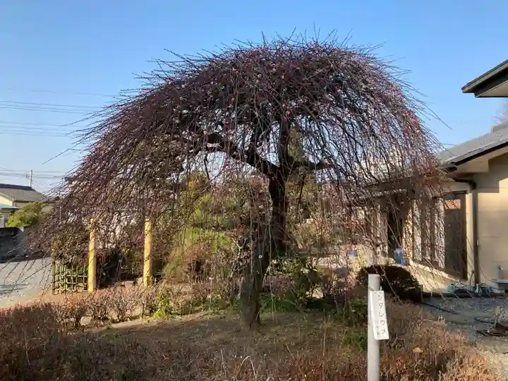 朝日森天満宮の庭園