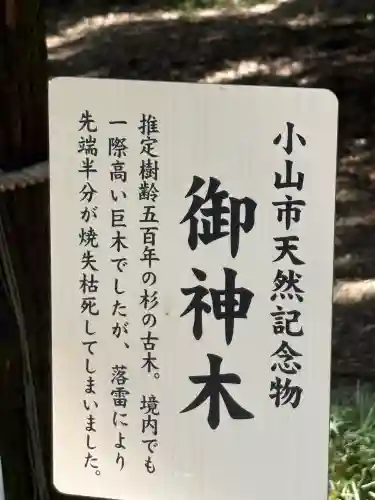 間々田八幡宮(栃木県)