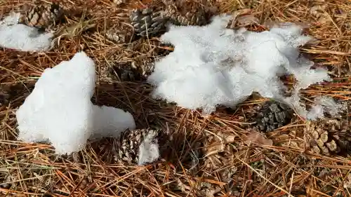 厳島神社の{uncategorized: "未分類", other: "その他", undefined: "問題あり", building: "その他建物", grave: "お墓", sacred_gate: "鳥居", guardian: "狛犬", statue: "像", buddha: "仏像", history: "歴史", nature: "自然", garden: "庭園", animal: "動物", pagoda: "塔", temizu: "手水舎", mountain_gate: "山門・神門", sanctuary: "本殿・本堂", subordinate: "末社・摂社", art: "芸術", scenery: "景色", jizo: "地蔵", ema: "絵馬", goshuin: "御朱印", omikuji: "おみくじ", items: "授与品その他", amulet: "お守り", goshuincho: "御朱印帳", eats: "食事", festival: "お祭り", votive_dance: "神楽", shichigosan: "七五三参", wedding: "結婚式", experience: "体験その他", initially: "初詣", around: "周辺", anti_infection: "感染症対策"}