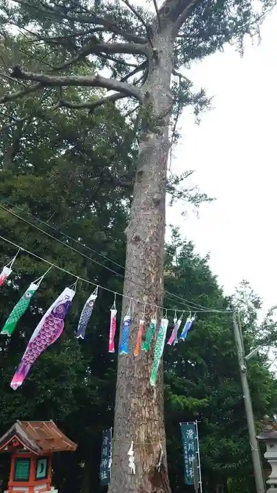 滑川神社 - 仕事と子どもの守り神の自然