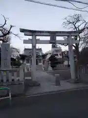 氷川神社の鳥居