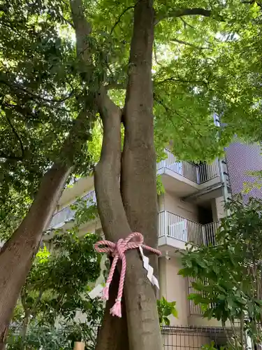 伊和志津神社の自然