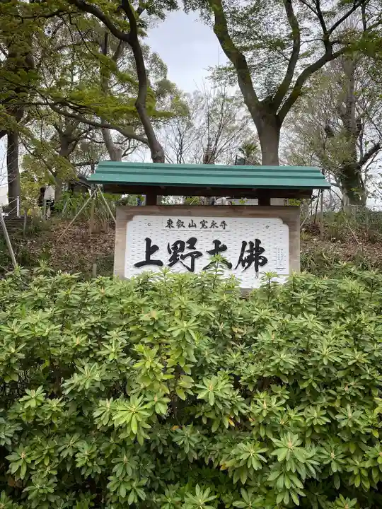 上野大佛(東京都)