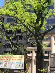 坐摩神社(大阪府)