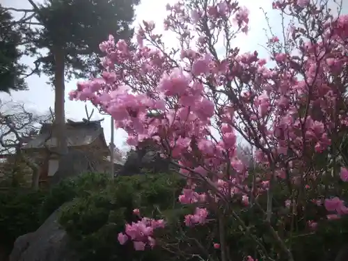 北海道護國神社の自然