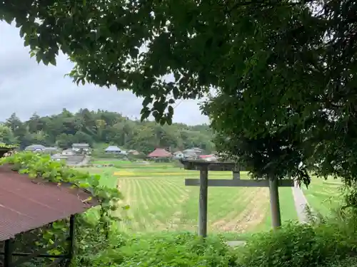 八幡大神社の鳥居