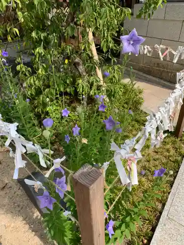 北野天満神社のおみくじ