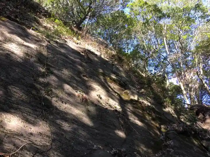 佐志能神社の自然