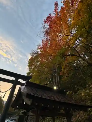 戸隠神社中社(長野県)