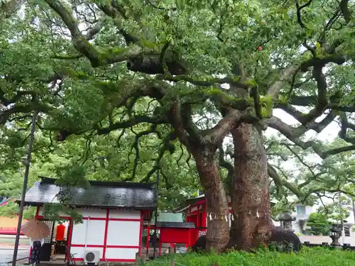 春日神社(大分県)