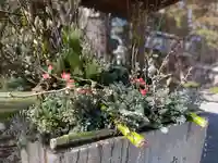 國魂神社の手水舎