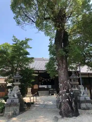 神館神社の狛犬