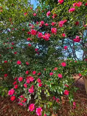 神炊館神社 ⁂奥州須賀川総鎮守⁂(福島県)