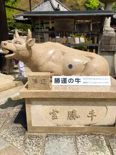 三室戸寺の狛犬