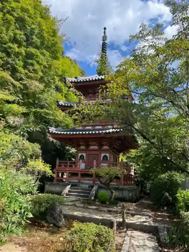 三室戸寺(京都府)