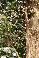 磐椅神社(福島県)