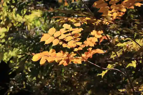 高松神社の庭園