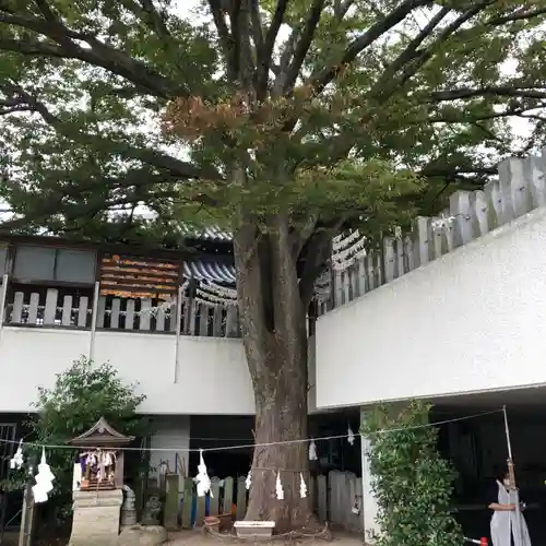 出雲大社美作分院の建物その他