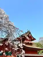 富士山本宮浅間大社(静岡県)