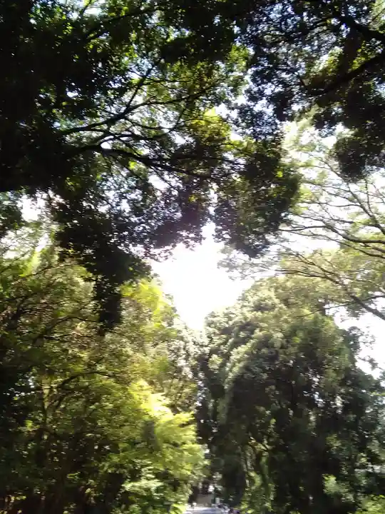 明治神宮の自然