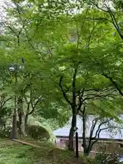 大沢温泉金勢神社の自然