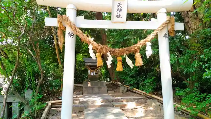 白山媛神社(上条白山媛神社)の鳥居