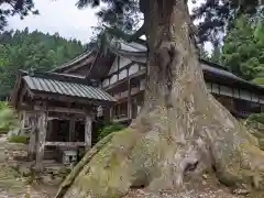 白山神社（長滝神社・白山長瀧神社・長滝白山神社）(岐阜県)