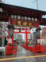 鷲神社の鳥居