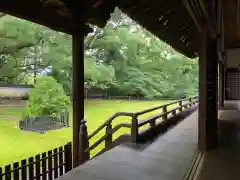 青蓮院門跡の庭園