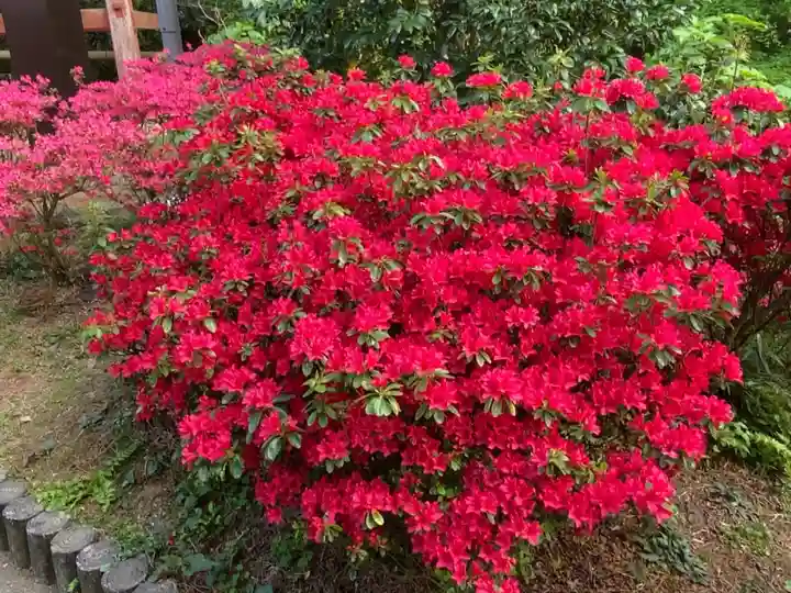 塩船観音寺の自然