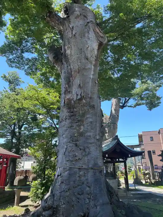 科野大宮社(長野県)