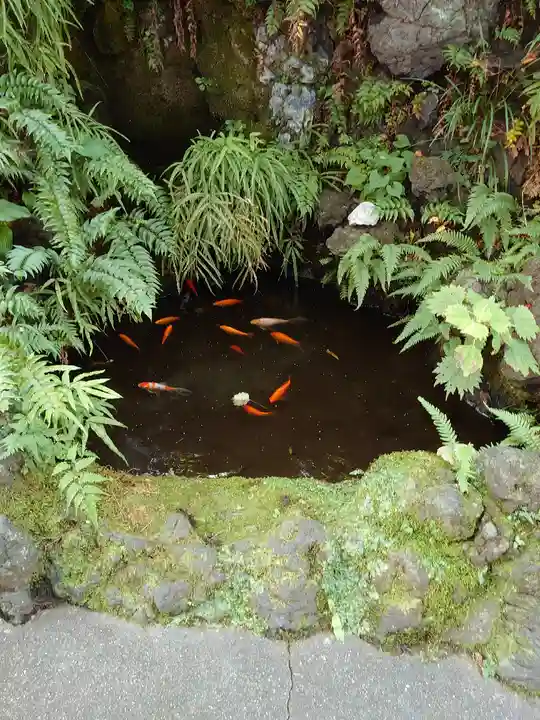観音山慈眼院(高崎観音)の動物