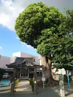 田代外町天満宮(佐賀県)