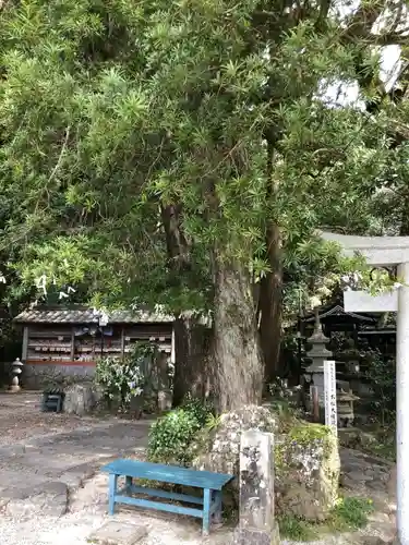 お松大権現の建物その他