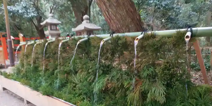 賀茂御祖神社(下鴨神社)(京都府)