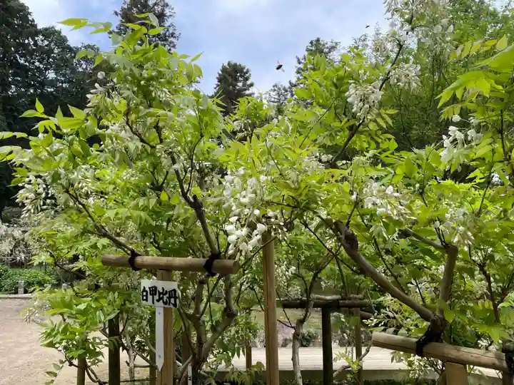 歌泉堂(春日大社神苑萬葉植物園内鎮座)(奈良県)