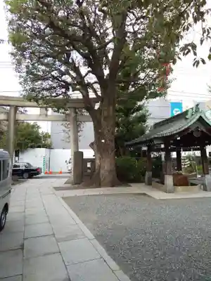 麻布氷川神社の鳥居
