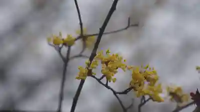 長岡天満宮(京都府)