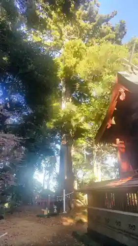 麻賀多神社奥宮(千葉県)